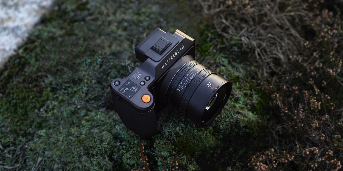 Hasselblad X2D camera with a 38mm lens resting on moss-covered ground